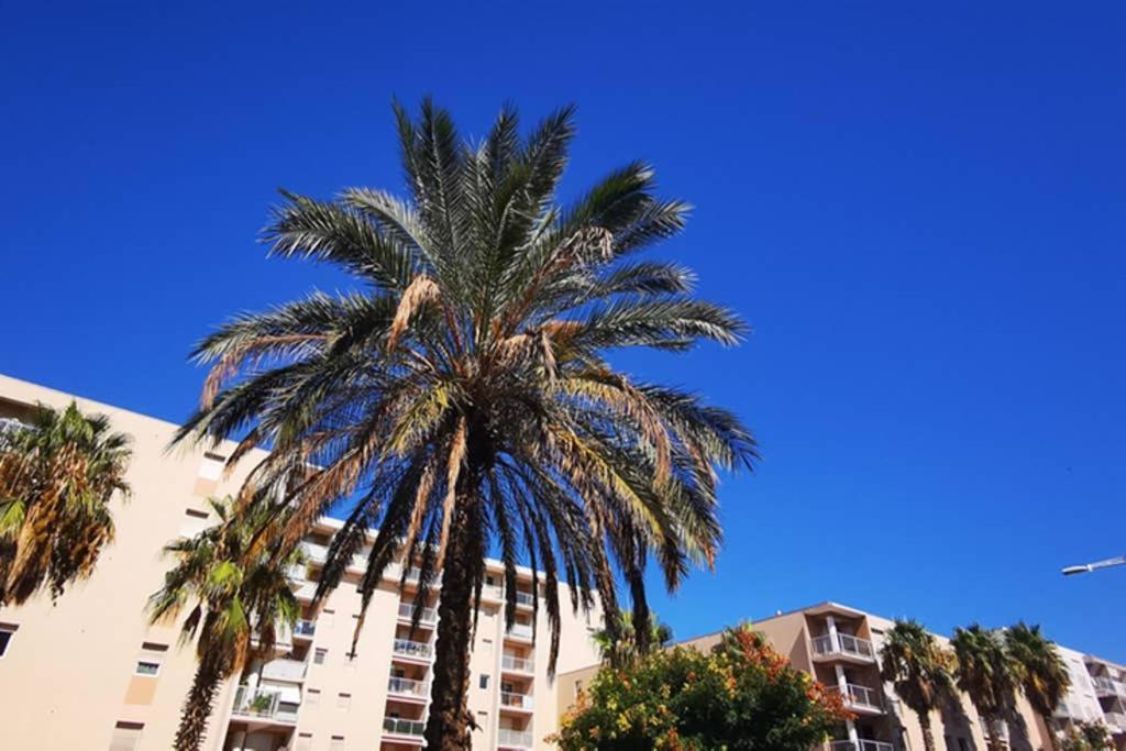 Appartement Premium, Proche Faculte & Centre Ville Ideal Digital Nomad Perpignan Eksteriør bilde