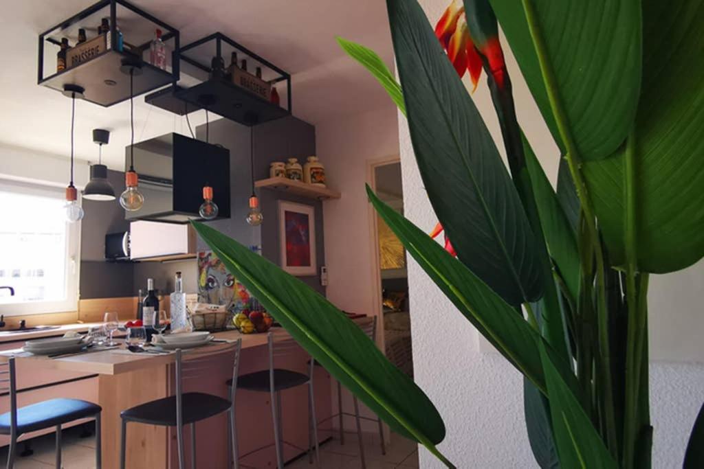 Appartement Premium, Proche Faculte & Centre Ville Ideal Digital Nomad Perpignan Eksteriør bilde